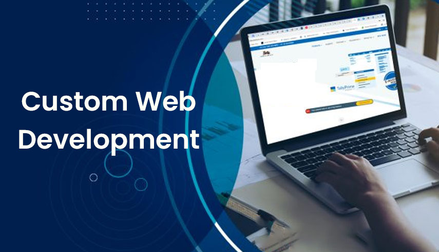 Custom Web Development Services